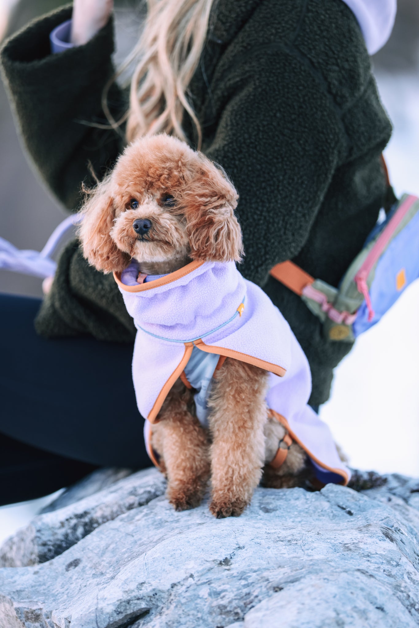 Woolly Wolf Dog Fleece Pullover | Lavender Mix – Ruff Retreat